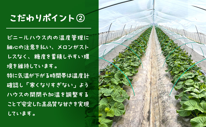 【2026年発送】 富良野メロン 赤肉 2玉入(約2kg以上) メロン ふらのメロン フルーツ 果物 くだもの 美味しい 甘い ギフト プレゼント 北海道 富良野市