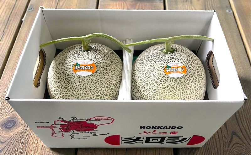 【2026年発送】 富良野メロン 赤肉 2玉入(約1.6kg以上) メロン ふらのメロン フルーツ 果物 くだもの 美味しい 甘い ギフト プレゼント 北海道 富良野市