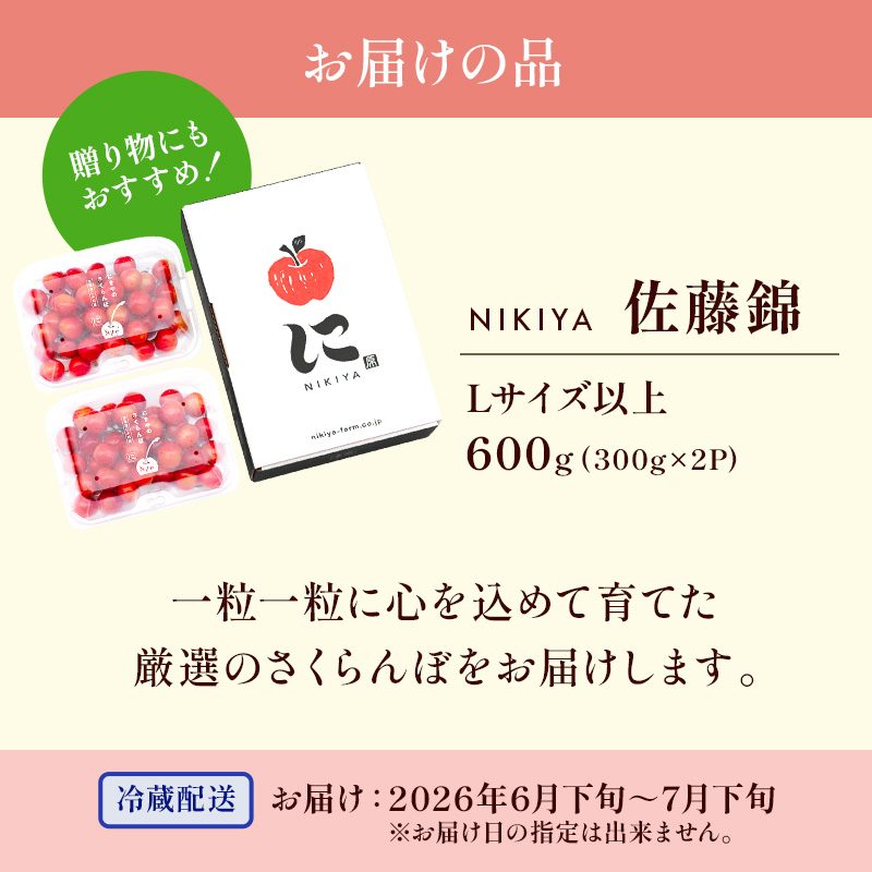 先行受付 北海道 仁木町産 さくらんぼ 佐藤錦 600g（300g×2）Lサイズ以上 ジューシー 旬のフルーツ 旬の果物 国産 日本産 サクランボ チェリー フルーツ 果物 果物類 ギフト 仁木町 [ジャパーナプランニング株式会社]