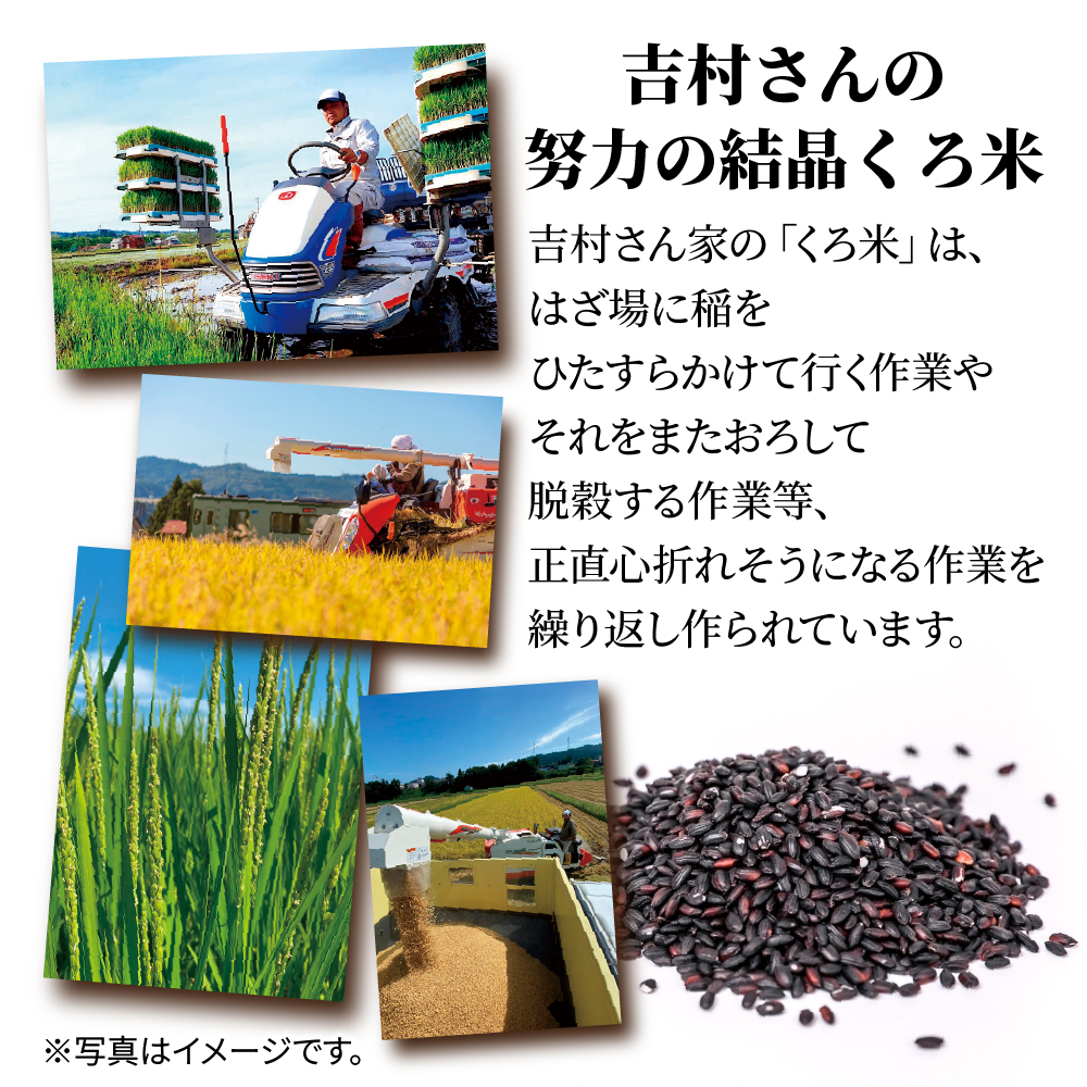 吉村さんちのくろ米御飯 20パック入りくろ米 うるち米 パック 米 コメ お米 ごはん ご飯 黒米 パックご飯 こしひかり コシヒカリ 新潟県産 魚沼 国産 新潟県 十日町