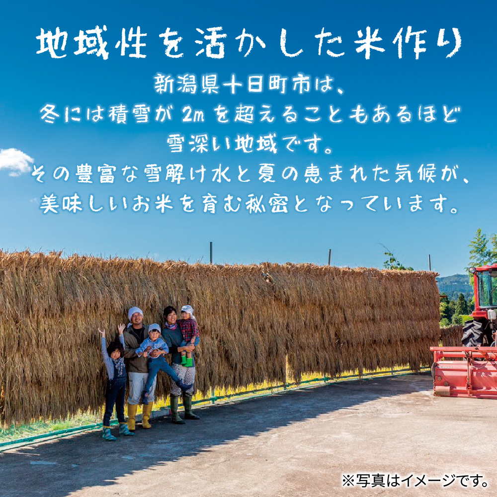 吉村さんちのくろ米御飯 20パック入りくろ米 うるち米 パック 米 コメ お米 ごはん ご飯 黒米 パックご飯 こしひかり コシヒカリ 新潟県産 魚沼 国産 新潟県 十日町