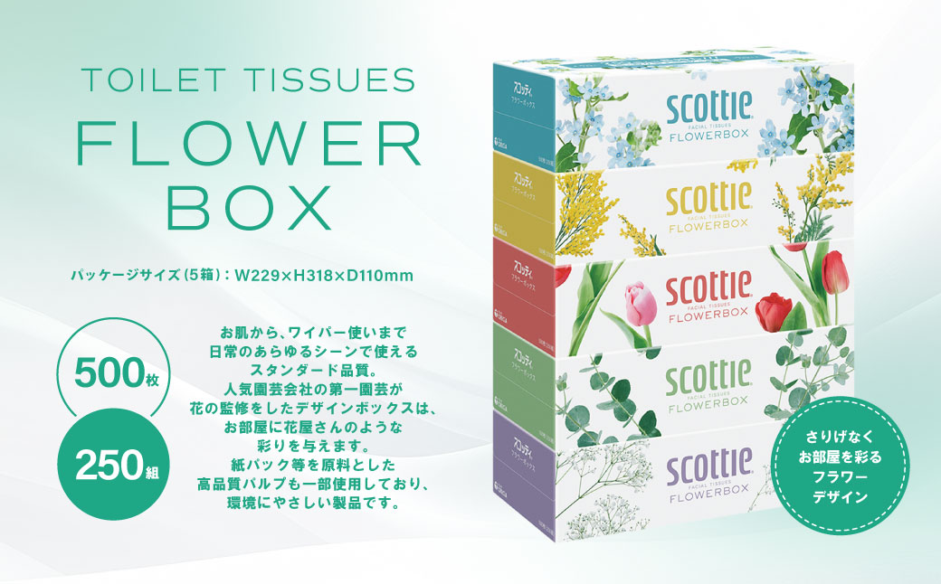 熊本県八代市のふるさと納税 【定期便3回】【毎月お届け】【スコッティ】 組み合わせ ティシュー フラワーボックス 250組 10箱 計30箱 トイレットロール ダブル フラワーパック 3倍長持ち 24ロール 計72ロール ティッシュ トイレットペーパー 日用品 防災備蓄 ストック 備蓄 新生活 防災 消耗品 生活用品 日用消耗品 箱ティッシュ