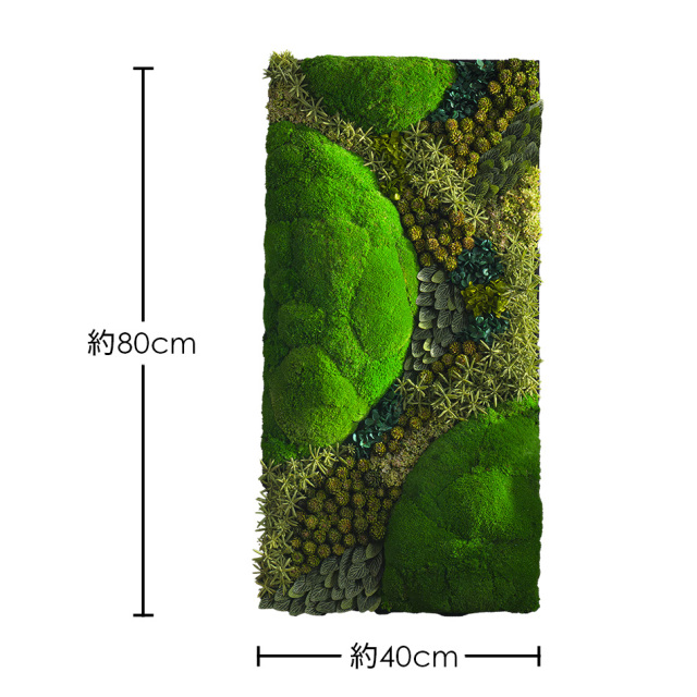 グリーンウォール800 花 お花 プリザーブドフラワー ギフト プレゼント お祝い 誕生日 お供え アレンジ インテリア 東京都 墨田区