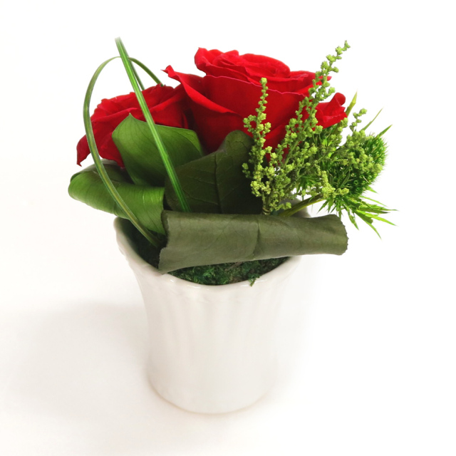 シャイン 花 お花 プリザーブドフラワー ギフト プレゼント お祝い 誕生日 お供え アレンジ インテリア 東京都 墨田区