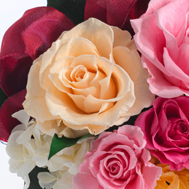 キャンティ 花 お花 プリザーブドフラワー ギフト プレゼント お祝い 誕生日 お供え アレンジ インテリア 東京都 墨田区