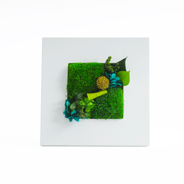 グリーンフレームM 花 お花 プリザーブドフラワー ギフト プレゼント お祝い 誕生日 お供え アレンジ インテリア 東京都 墨田区