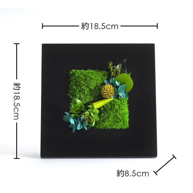 グリーンフレームM 花 お花 プリザーブドフラワー ギフト プレゼント お祝い 誕生日 お供え アレンジ インテリア 東京都 墨田区