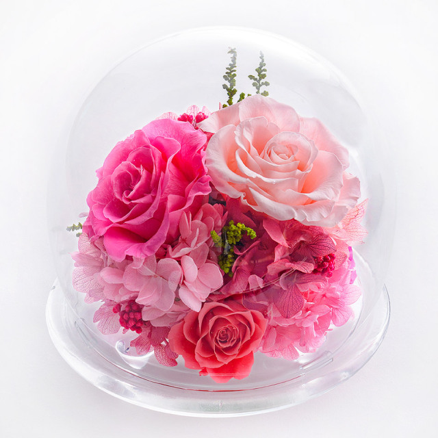 ガラスドームL 花 お花 プリザーブドフラワー ギフト プレゼント お祝い 誕生日 お供え アレンジ インテリア 東京都 墨田区