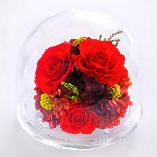ガラスドームL 花 お花 プリザーブドフラワー ギフト プレゼント お祝い 誕生日 お供え アレンジ インテリア 東京都 墨田区