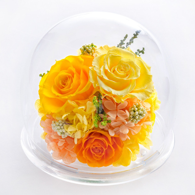 ガラスドームL 花 お花 プリザーブドフラワー ギフト プレゼント お祝い 誕生日 お供え アレンジ インテリア 東京都 墨田区