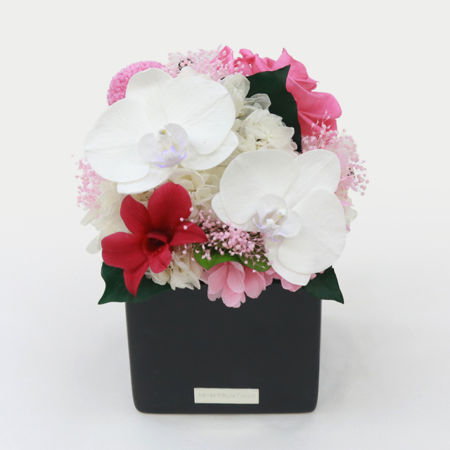 胡蝶蘭キューブM 花 お花 プリザーブドフラワー ギフト プレゼント お祝い 誕生日 お供え アレンジ インテリア 東京都 墨田区