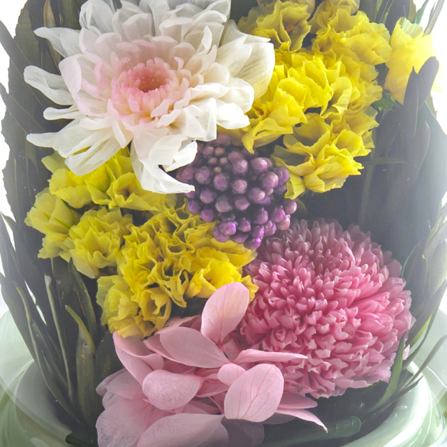 天目 花 お花 プリザーブドフラワー ギフト プレゼント お祝い 誕生日 お供え アレンジ インテリア 東京都 墨田区