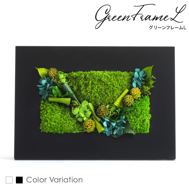 グリーンフレームL 花 お花 プリザーブドフラワー ギフト プレゼント お祝い 誕生日 お供え アレンジ インテリア 東京都 墨田区