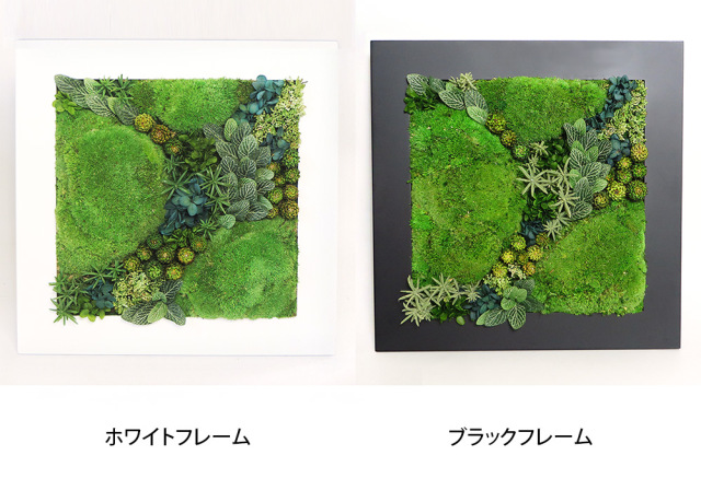 グリーンフレーム２L 花 お花 プリザーブドフラワー ギフト プレゼント お祝い 誕生日 お供え アレンジ インテリア 東京都 墨田区