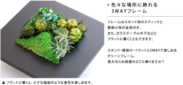 グリーンフレーム２L 花 お花 プリザーブドフラワー ギフト プレゼント お祝い 誕生日 お供え アレンジ インテリア 東京都 墨田区