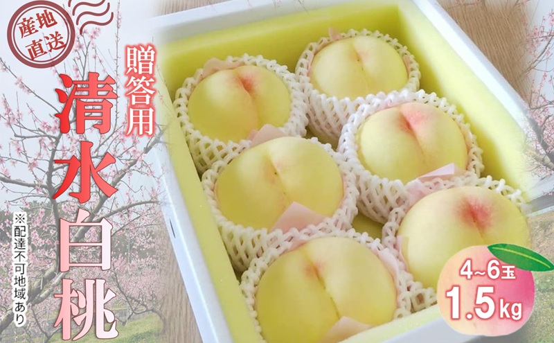 【桃 2026年 先行予約】贈答用 清水白桃 約1.5kg(4～6玉) もも モモ 岡山県 国産 フルーツ 果物