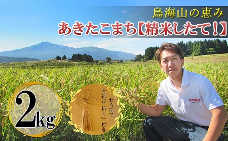 秋田県産 あきたこまち 「 あきたこまち ひの米 2kg 精米 」＆「叶結び 祈り」【 ご飯 白米 主食 ライス 釜ヶ台 国産 おにぎり お弁当 縁起物 装飾 工芸品 民芸品 手作り わら細工 インテリア 】
