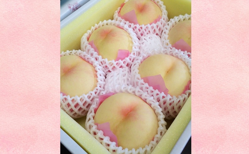 【桃 2026年 先行予約】贈答用 清水白桃 約1.5kg(4～6玉) もも モモ 岡山県 国産 フルーツ 果物