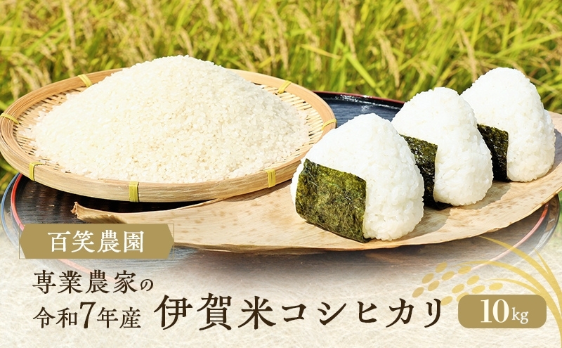 売切御免！専業農家の令和7年産 伊賀米コシヒカリ 10kg 3年連続 特A 米 こしひかり ご飯 ごはん 白米 精米 三重県 名張市