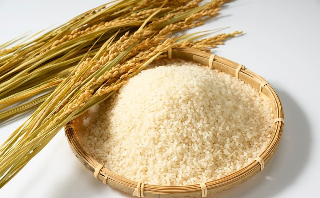 【令和7年産】茨城県産コシヒカリ 5kg 米 お米 おこめ コメ 白米 精米 ご飯 ごはん コシヒカリ こしひかり 茨城県 守谷市