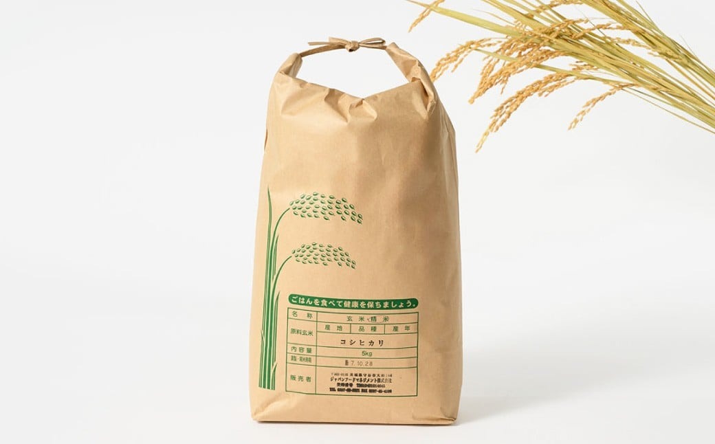 【令和7年産】茨城県産コシヒカリ 5kg 米 お米 おこめ コメ 白米 精米 ご飯 ごはん コシヒカリ こしひかり 茨城県 守谷市