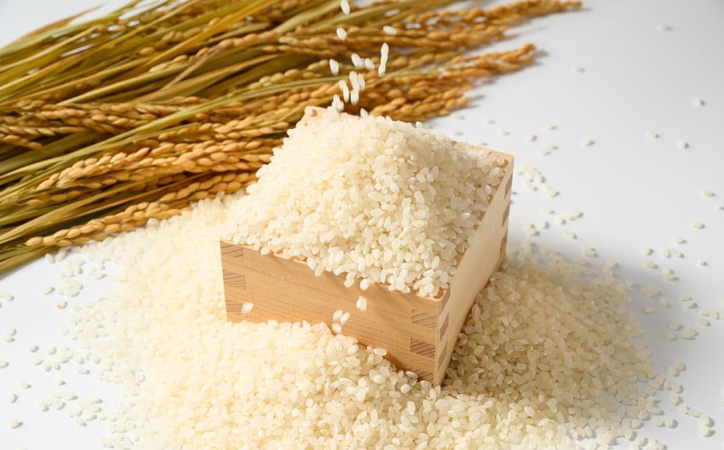 【令和7年産】茨城県産にじのきらめき 5kg 米 お米 おこめ コメ 白米 精米 ご飯 ごはん にじのきらめき 茨城県 守谷市