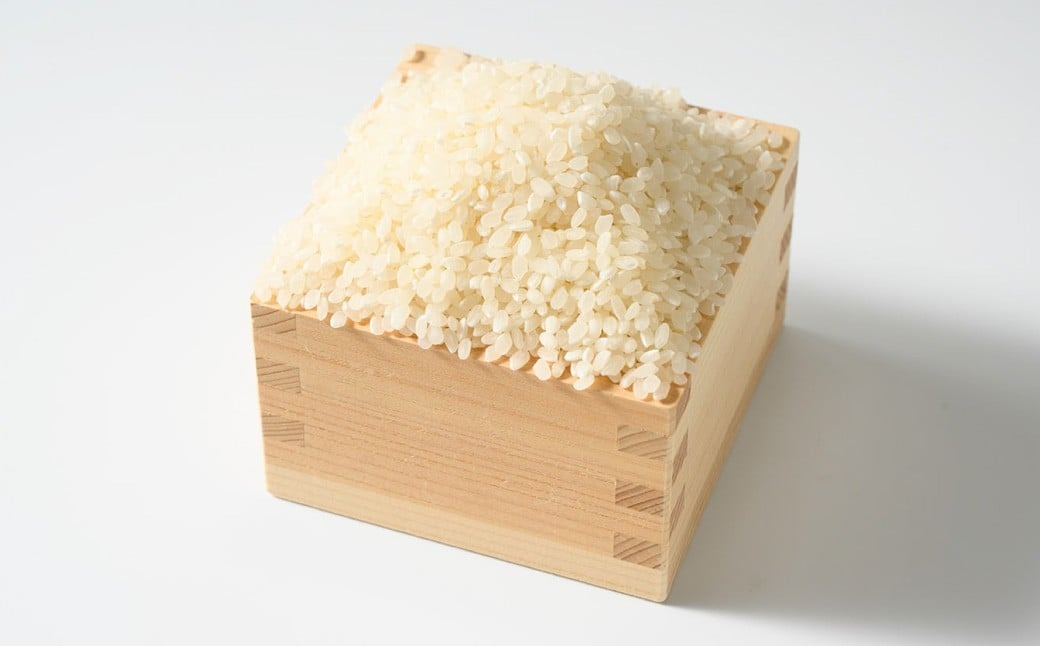 【令和7年産】茨城県産にじのきらめき 5kg 米 お米 おこめ コメ 白米 精米 ご飯 ごはん にじのきらめき 茨城県 守谷市