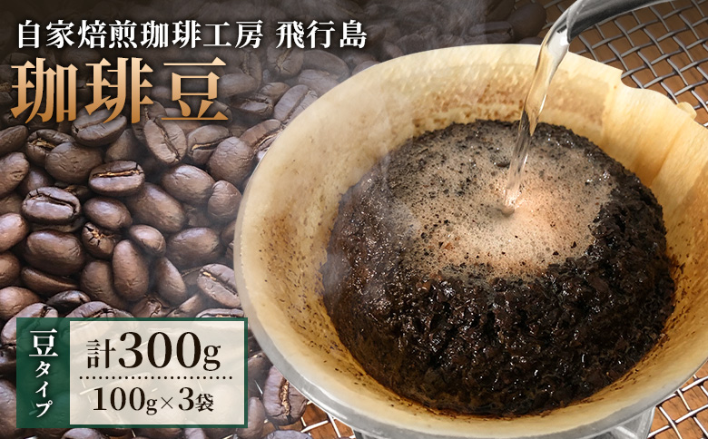 [自家焙煎珈琲工房 飛行島] 珈琲豆 300g (100g×3袋)[47002]