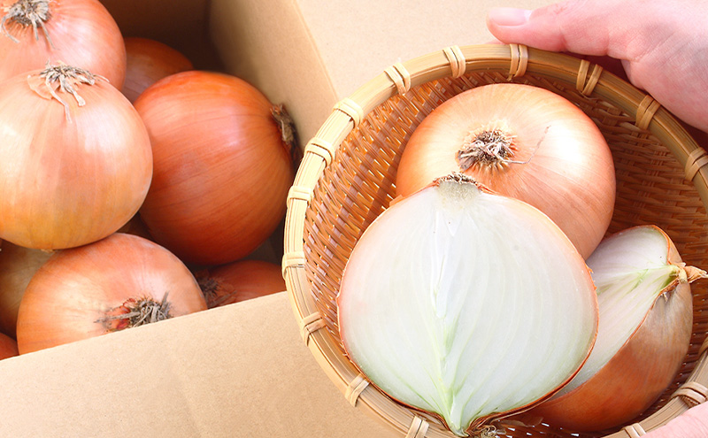 富良野産 玉ねぎ 約10kg入り サイズ混合（L～2L）たまねぎ ご家庭用  野菜 甘い 新鮮 北海道 富良野市