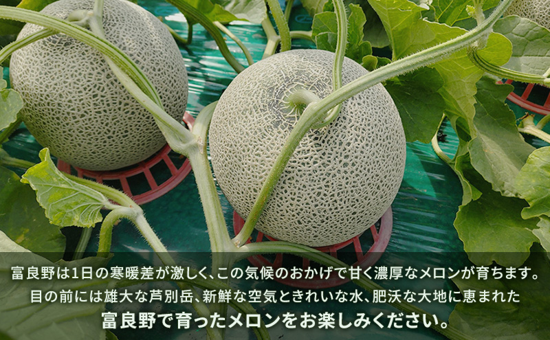 富良野産 キングメロン 大玉 2玉 秀品 (2.0kg×2玉) 計4kg 赤肉 メロン 富良野メロン 果物 フルーツ 甘い ジューシー 新鮮 ブランドメロン 贈り物 ギフト おやつ 夏 北海道 富良野市