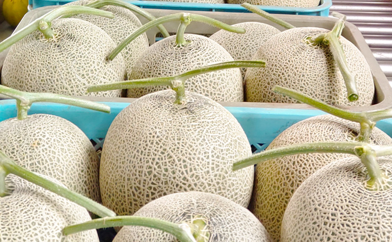 富良野産 キングメロン 大玉 2玉 秀品 (2.0kg×2玉) 計4kg 赤肉 メロン 富良野メロン 果物 フルーツ 甘い ジューシー 新鮮 ブランドメロン 贈り物 ギフト おやつ 夏 北海道 富良野市