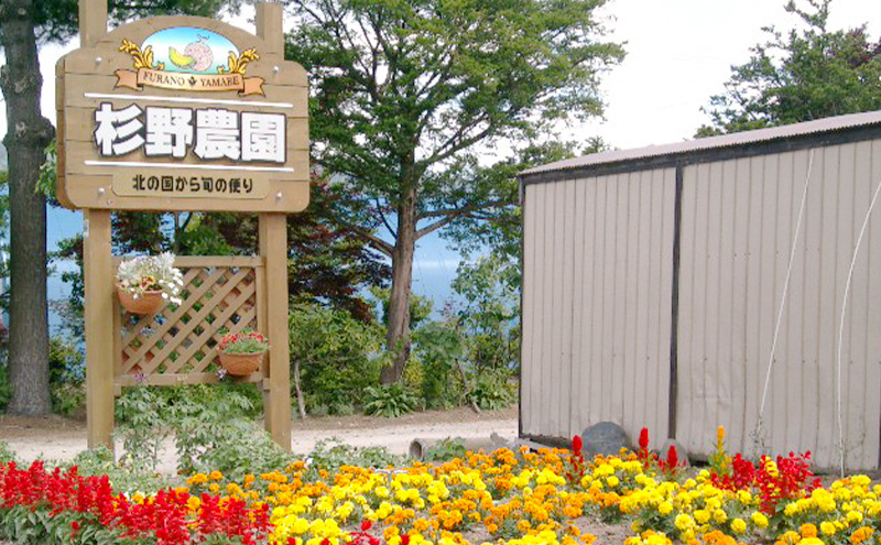 富良野産 訳あり キングメロン 4～6玉 (計8kg) 赤肉 メロン ご家庭用 富良野メロン 果物 フルーツ 甘い ジューシー 新鮮 贈り物 ギフト おやつ 夏 北海道 富良野市