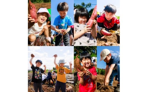 ★期間限定★ 熟成焼きいも 善右ヱ門 「 特製 焼き芋 1kg 」熟成 焼きいも 焼芋 やきいも さつまいも サツマイモ いも 人気 茨城県 鹿嶋市 (KEL-1)