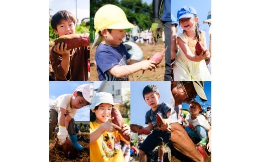 ★期間限定★ 熟成焼きいも 善右ヱ門 「 特製 焼き芋 1kg 」熟成 焼きいも 焼芋 やきいも さつまいも サツマイモ いも 人気 茨城県 鹿嶋市 (KEL-1)