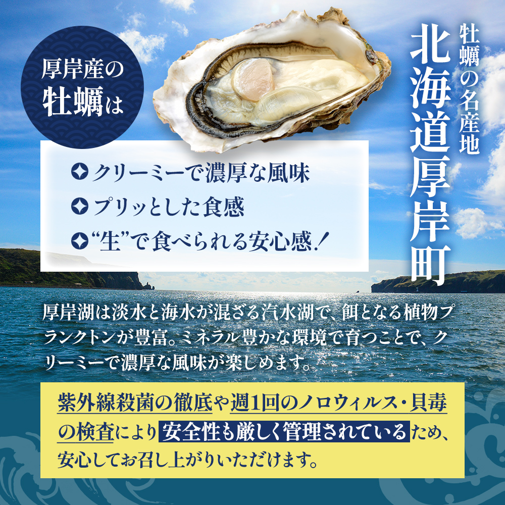 牡蠣 北海道厚岸産 かきの 塩辛 3本 (1本あたり100g×3本,合計300g) 生食 むき身 生牡蠣 貝 海鮮 おつまみ つまみ 魚介類 加工食品 