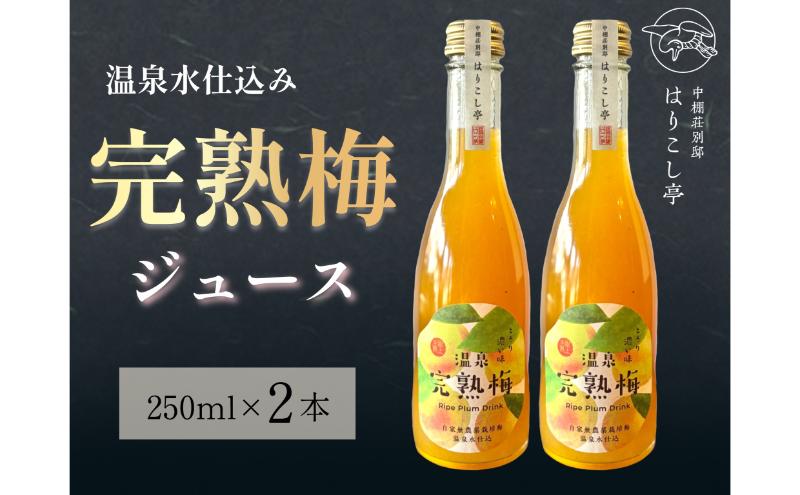 梅ジュース　250ml×2本　中棚温泉　長野　信州　小諸