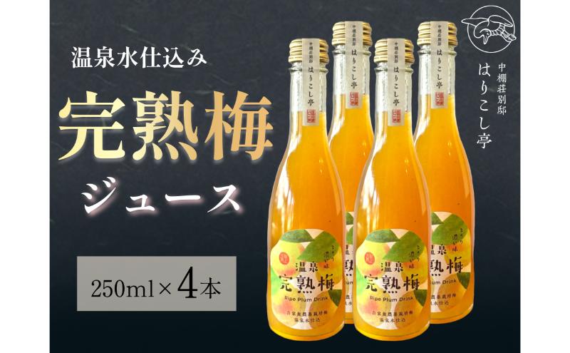 梅ジュース　250ml×4本　中棚温泉　長野　信州　小諸