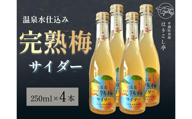 梅サイダー　250ml×４本　中棚温泉　長野　信州　小諸