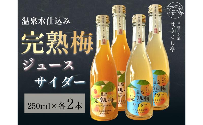梅ジュース＆梅サイダー　250ml×各種２本　中棚温泉　長野　信州　小諸
