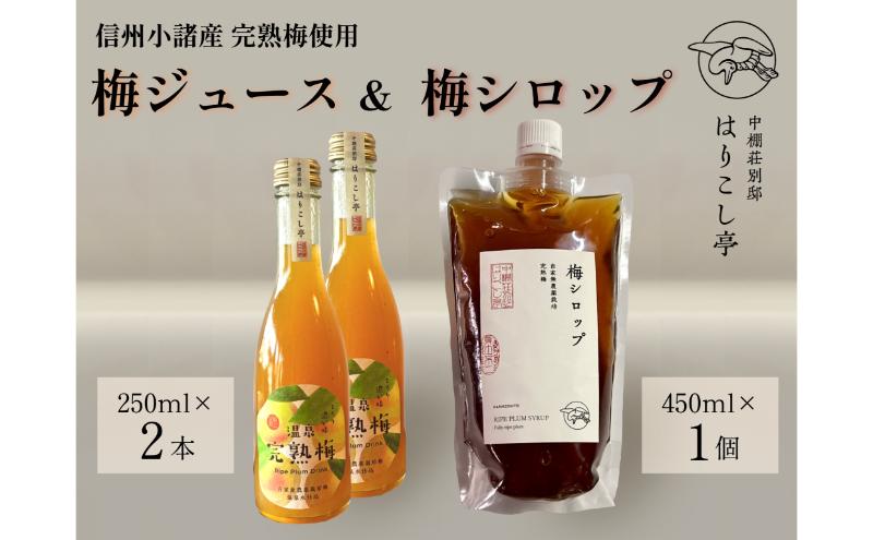 梅ジュース250ml×2本＆梅シロップ450ml×1個　中棚温泉　長野　信州　小諸