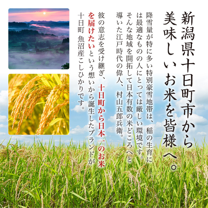 令和7年産米】魚沼産こしひかり 棚田米(十日町地域) 精米 2kg 1月配送