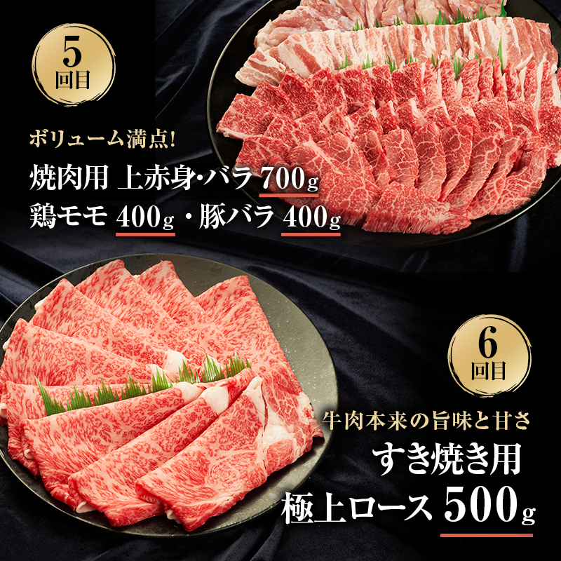 伊賀牛 6ヶ月連続お届け 定期便 A [ 伊賀牛牛トロ刺し すき焼きセット 伊賀牛ステーキセット 伊賀牛切り落とし 焼肉セット5人盛り ] オクダ 牛肉 高級 和牛 肉 伊賀牛肉  伊賀 人気 自宅用 グルメ お取り寄せ 誕生日 お祝い  贅沢 三重