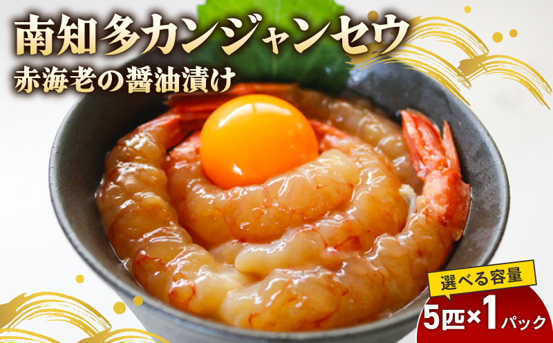 �y���m����m�����z�ԊC�V ��m���J���W�����Z�E 5�C×1�� �C�V�̏ݖ��Ђ� �C�V ���� �G�r �V�N �؍�����