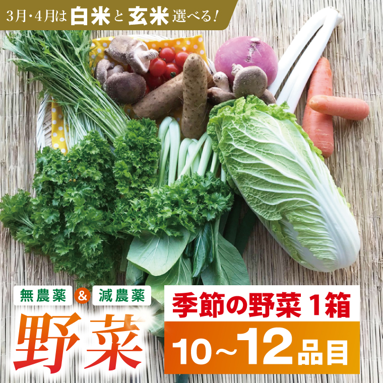 身体が喜ぶ季節の野菜 10～12品目(3月、4月は米 5kg)｜米 お米 こめ 玄米 野菜 野菜セット 栽培期間農薬不使用 茨城県共通返礼品 共通返礼品 茨城県 潮来市 行方市(BI-8)