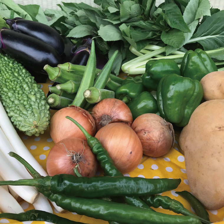 【12ヶ月定期便】身体が喜ぶ季節の野菜 10～12品目(3月、4月は米 5kg)｜米 お米 こめ 玄米 野菜 野菜セット 栽培期間農薬不使用 定期便 野菜定期便 茨城県共通返礼品 共通返礼品 茨城県 潮来市 行方市(BI-10)