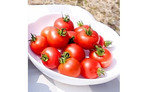 ハッピーマン＆完熟トマトセット 1kgセット 1キロセット ピーマン とまと 野菜 やさい おかず 副菜 新鮮 おいしい 採れたて 国産 お取り寄せ 常温 高知県 高知 土佐市