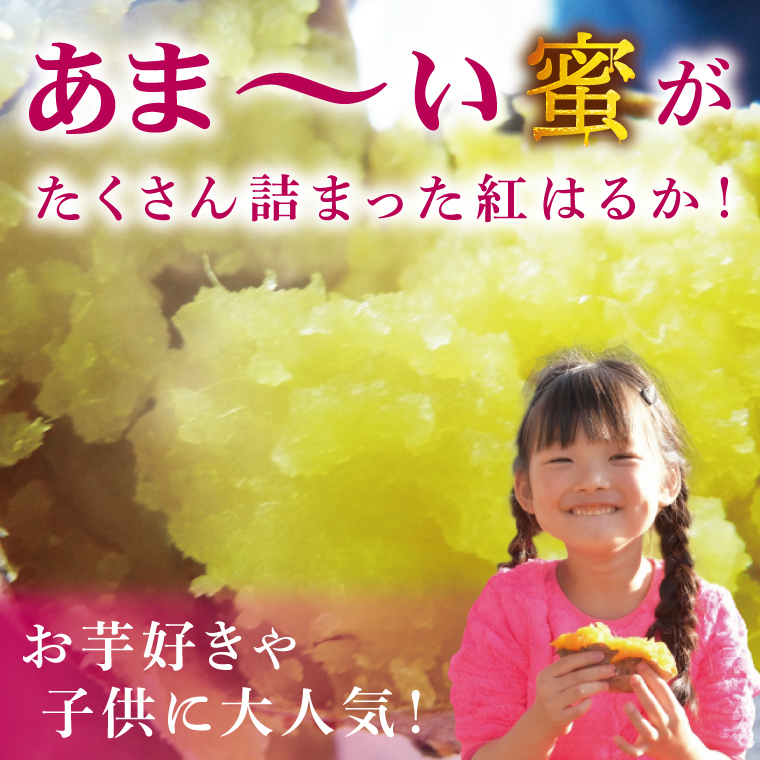 焼き芋好きのための黄金色で蜜たっぷりサツマイモ 紅はるか 約5kg｜さつまいも サツマイモ お芋 紅はるか 蜜 やきいも 焼き芋 ヤキイモ 茨城県 行方市(BI-71)