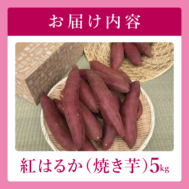 焼き芋好きのための黄金色で蜜たっぷりサツマイモ 紅はるか 約5kg｜さつまいも サツマイモ お芋 紅はるか 蜜 やきいも 焼き芋 ヤキイモ 茨城県 行方市(BI-71)