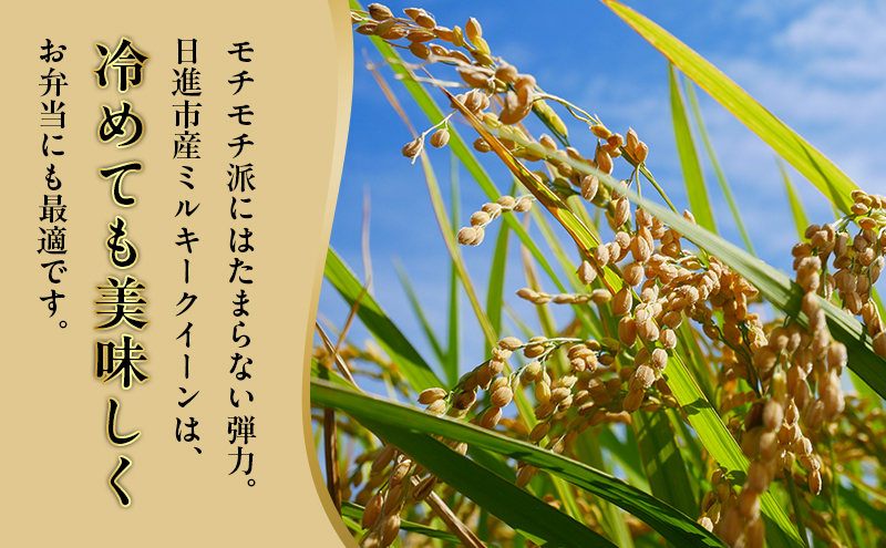 先行予約 令和8年度産 ミルキークイーン さかたのお米 日進市産 10kg お米 白米 ライス 精米 ご飯 おにぎり お弁当 和食 もっちり 粘り 強い 甘み 旨み