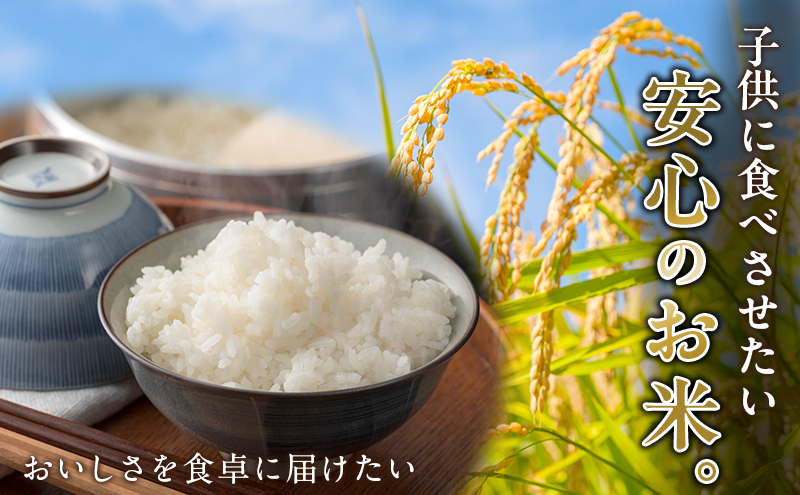 令和7年度産 コシヒカリ さかたのお米 日進市産 3kg お米 白米 ライス 精米 ご飯 おにぎり お弁当 和食 もっちり 粘り 強い 甘み 旨み